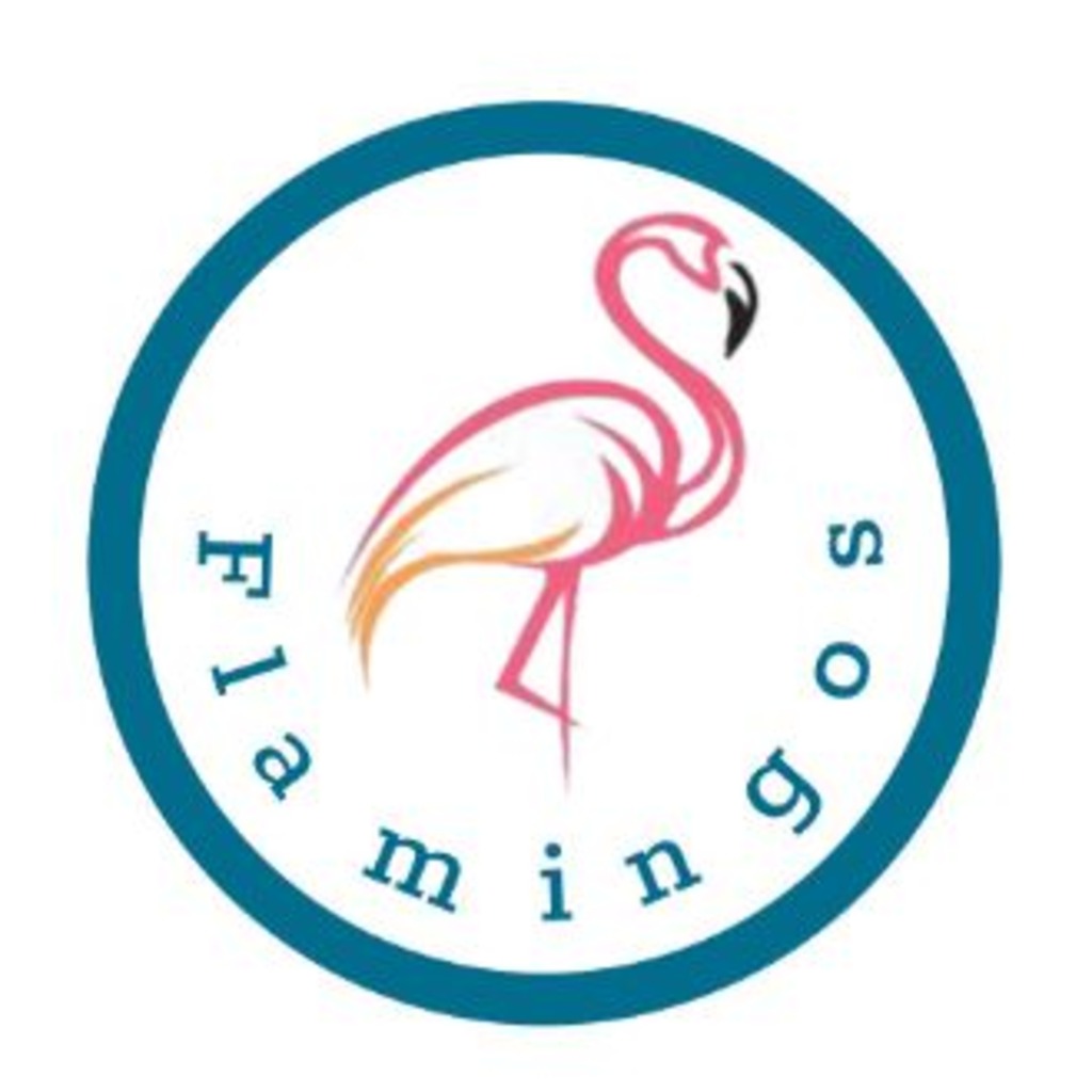 Flamingos5